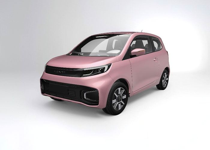 Low Speed Electric Car 